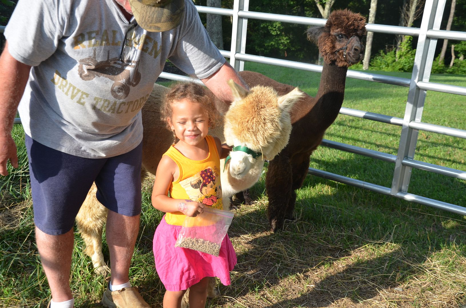 Alpaca Haven Farm of Kentucky & Store
